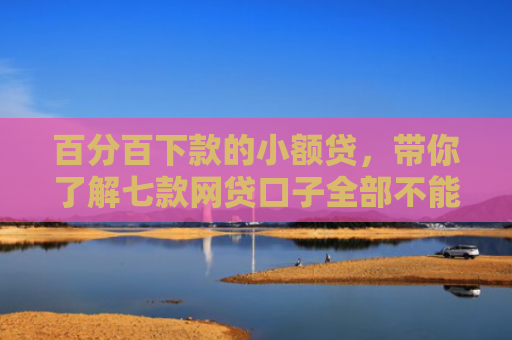 百分百下款的小额贷，带你了解七款网贷口子全部不能下款了