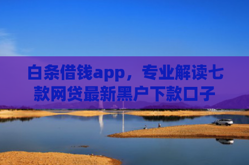 白条借钱app，专业解读七款网贷最新黑户下款口子