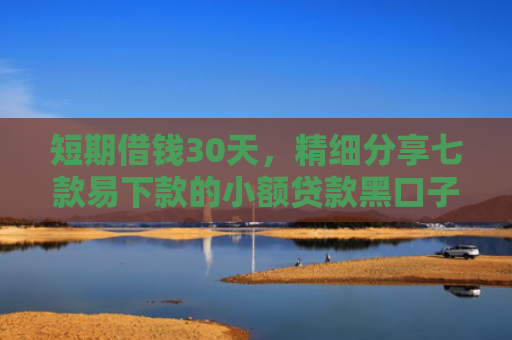 短期借钱30天，精细分享七款易下款的小额贷款黑口子