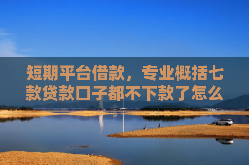 短期平台借款，专业概括七款贷款口子都不下款了怎么办