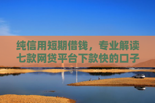 纯信用短期借钱，专业解读七款网贷平台下款快的口子