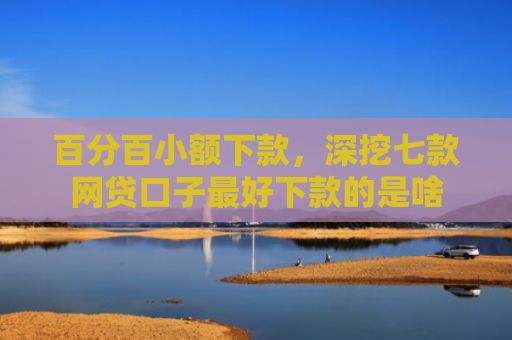 百分百小额下款，深挖七款网贷口子最好下款的是啥