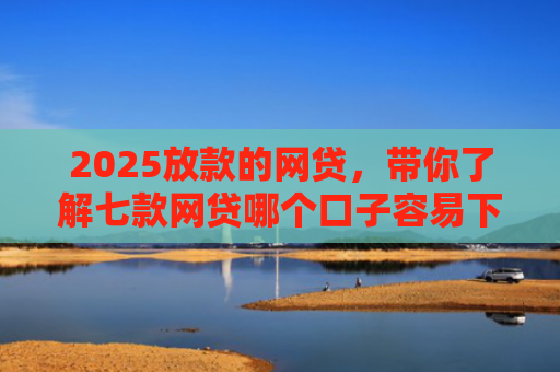 2025放款的网贷，带你了解七款网贷哪个口子容易下款