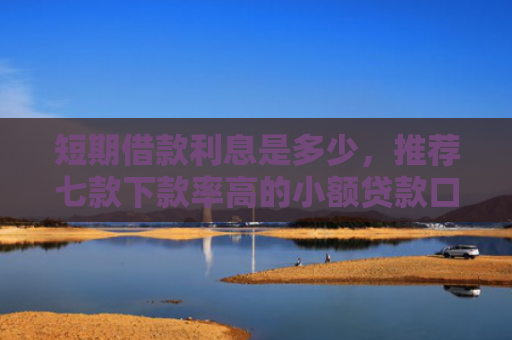 短期借款利息是多少，推荐七款下款率高的小额贷款口子
