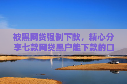 被黑网贷强制下款，精心分享七款网贷黑户能下款的口子6