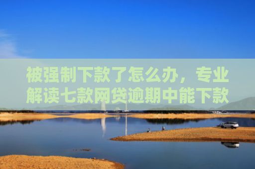 被强制下款了怎么办，专业解读七款网贷逾期中能下款的口子