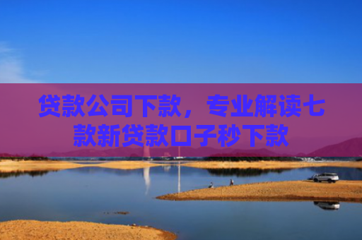 贷款公司下款，专业解读七款新贷款口子秒下款