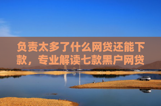 负责太多了什么网贷还能下款，专业解读七款黑户网贷能下款的口子