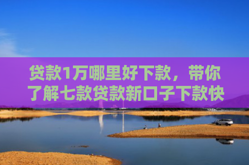 贷款1万哪里好下款，带你了解七款贷款新口子下款快