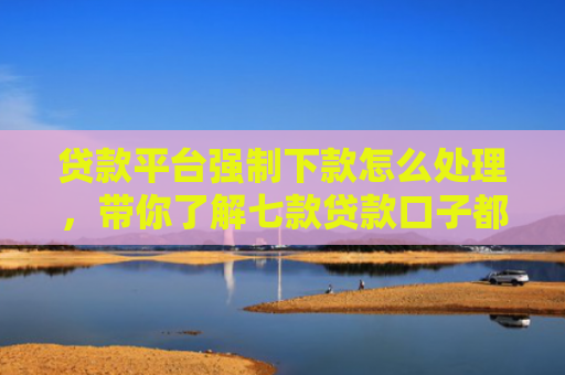 贷款平台强制下款怎么处理，带你了解七款贷款口子都不下款了吗