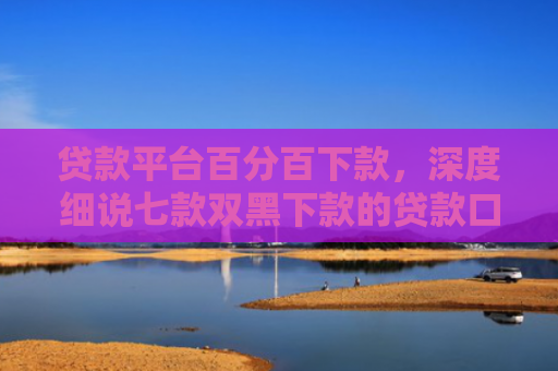 贷款平台百分百下款，深度细说七款双黑下款的贷款口子