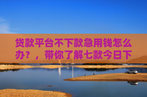 贷款平台不下款急用钱怎么办？，带你了解七款今日下款的贷款口子