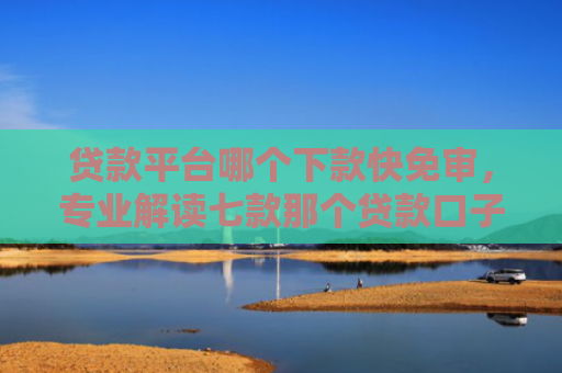 贷款平台哪个下款快免审，专业解读七款那个贷款口子好下款