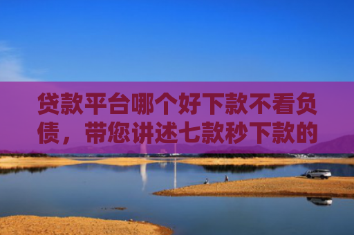 贷款平台哪个好下款不看负债，带您讲述七款秒下款的贷款口子黑户