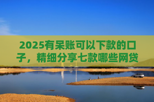 2025有呆账可以下款的口子，精细分享七款哪些网贷口子好下款的
