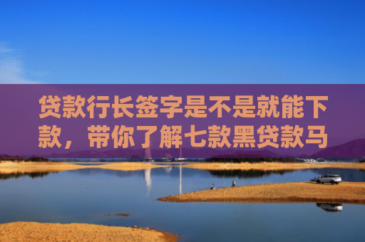 贷款行长签字是不是就能下款，带你了解七款黑贷款马上下款的口子