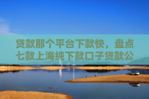 贷款那个平台下款快，盘点七款上海纯下款口子贷款公司