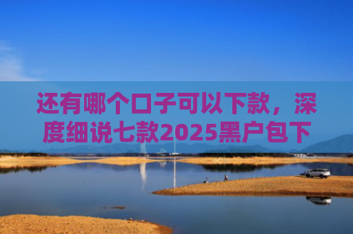 还有哪个口子可以下款，深度细说七款2025黑户包下款网贷