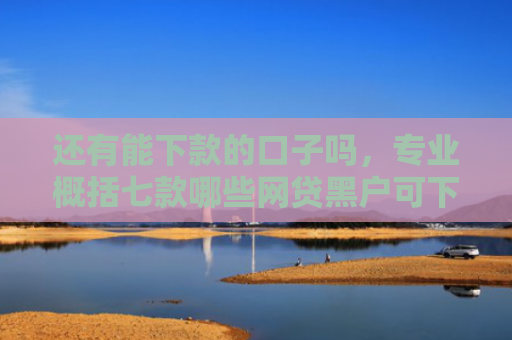 还有能下款的口子吗，专业概括七款哪些网贷黑户可下款
