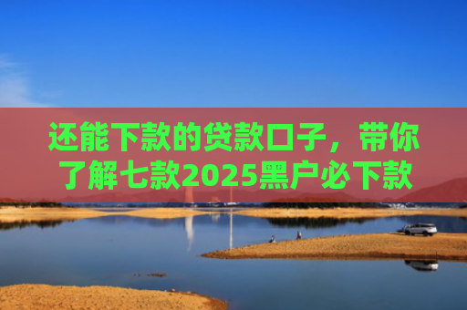 还能下款的贷款口子，带你了解七款2025黑户必下款网贷