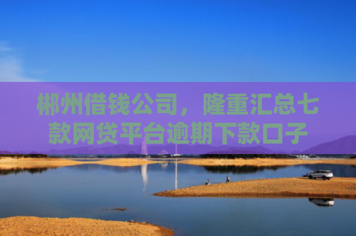 郴州借钱公司，隆重汇总七款网贷平台逾期下款口子