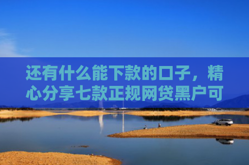 还有什么能下款的口子，精心分享七款正规网贷黑户可下款