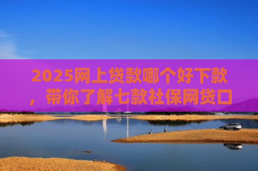 2025网上贷款哪个好下款，带你了解七款社保网贷口子那个下款快