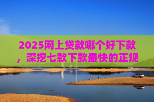 2025网上贷款哪个好下款，深挖七款下款最快的正规网贷口子