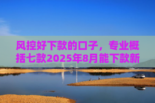 风控好下款的口子，专业概括七款2025年8月能下款新口子APP