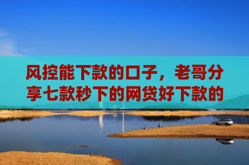 风控能下款的口子，老哥分享七款秒下的网贷好下款的口子app