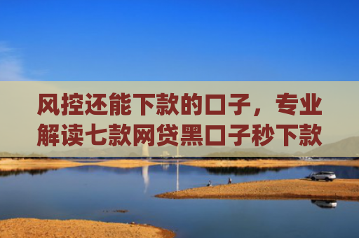 风控还能下款的口子，专业解读七款网贷黑口子秒下款app2025
