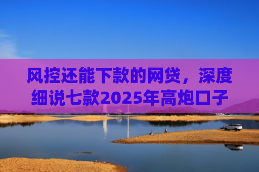 风控还能下款的网贷，深度细说七款2025年高炮口子秒下款app