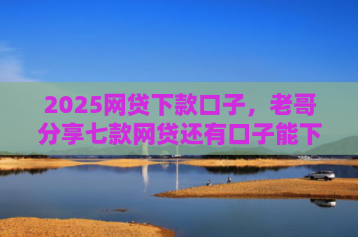 2025网贷下款口子，老哥分享七款网贷还有口子能下款吗