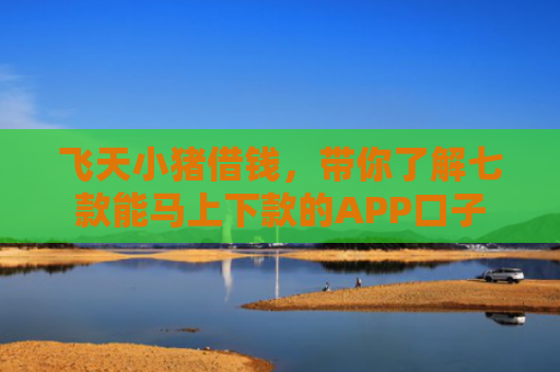 飞天小猪借钱，带你了解七款能马上下款的APP口子