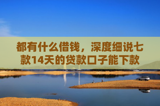 都有什么借钱，深度细说七款14天的贷款口子能下款吗