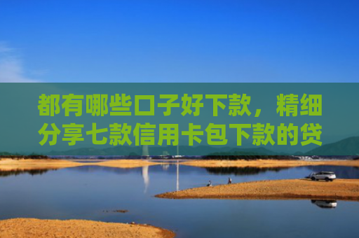 都有哪些口子好下款，精细分享七款信用卡包下款的贷款口子