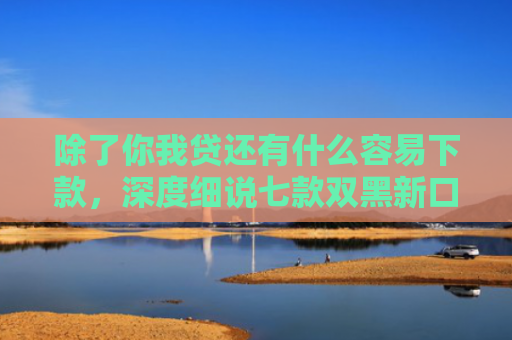 除了你我贷还有什么容易下款，深度细说七款双黑新口子稳下款平台