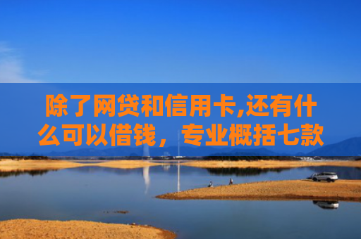 除了网贷和信用卡,还有什么可以借钱，专业概括七款黑口子必下款返佣平台