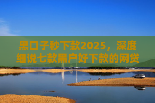 黑口子秒下款2025，深度细说七款黑户好下款的网贷平台