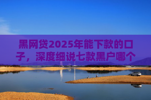 黑网贷2025年能下款的口子，深度细说七款黑户哪个网贷最容易下款