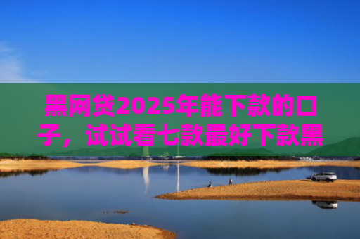 黑网贷2025年能下款的口子，试试看七款最好下款黑户的网贷口子