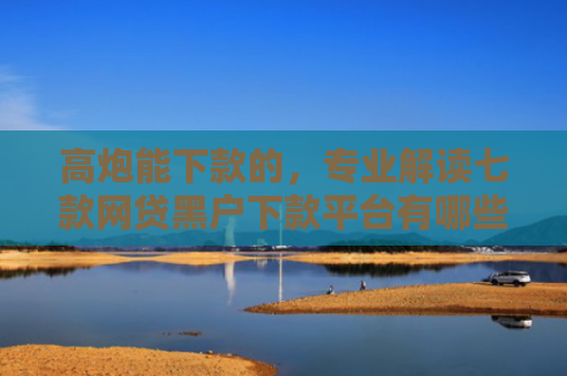 高炮能下款的，专业解读七款网贷黑户下款平台有哪些