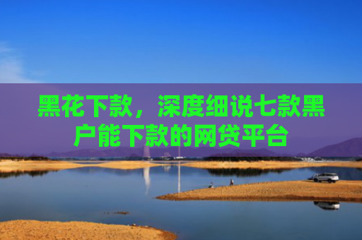 黑花下款，深度细说七款黑户能下款的网贷平台