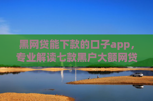 黑网贷能下款的口子app，专业解读七款黑户大额网贷当天下款