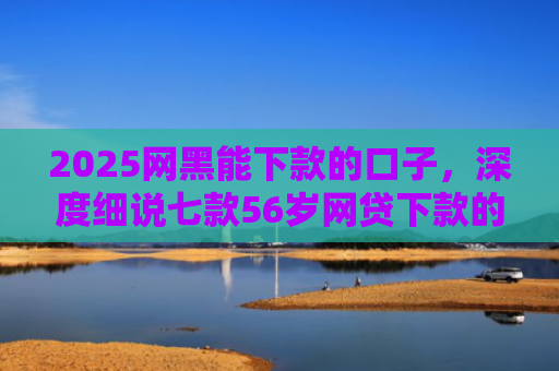 2025网黑能下款的口子，深度细说七款56岁网贷下款的口子
