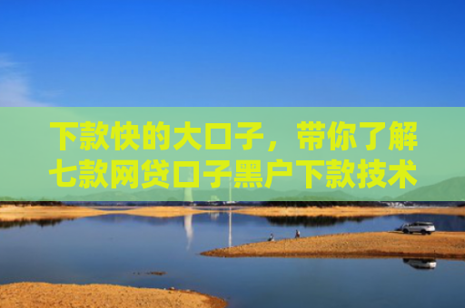 下款快的大口子，带你了解七款网贷口子黑户下款技术