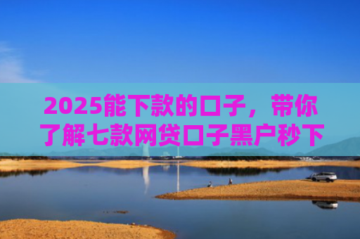 2025能下款的口子，带你了解七款网贷口子黑户秒下款