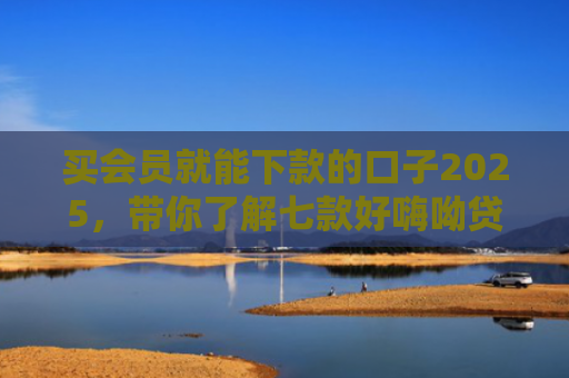 买会员就能下款的口子2025，带你了解七款好嗨呦贷款黑户能下款吗