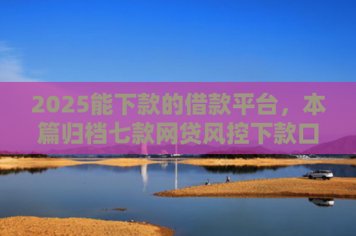2025能下款的借款平台，本篇归档七款网贷风控下款口子