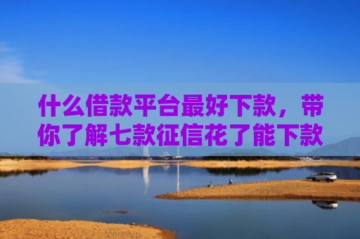 什么借款平台最好下款，带你了解七款征信花了能下款的贷款